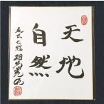 akindoya_habu-replica-autograph