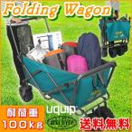 ariafrere_odiy-uquip-wagon