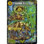 card-museum_dmx26-v2-vr