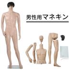 男性等身大マネキン　 ベージュ 等身大 マネキン 男性 身長185cm B94cm×W75cm×H95cm カツラ&スタンド