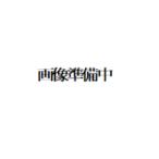日立産機 BSソレノイド ホイスト用 純正部品 813233 /【Buyee】