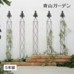 garden_32574000