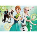 アナとや雪の女王 エルサのサプライズ　US限定 81dvUf+VGML._UF350,350_QL50_.jpg
