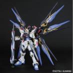PG 1/60 ZGMF-X20A ストライクフリーダムガンダム バンダイ /【Buyee