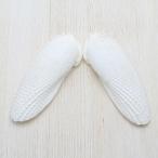 kaiyokobo_sh-0217