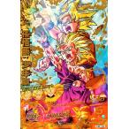 karintou-shop_dbh-h216