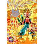 karintou-shop_dbh-hg10cp5