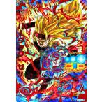 karintou-shop_dbh-hgd3-sec2cp