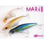 kt-gigaweb_198-marib78