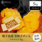 種子島産安納芋／安納さげいも／プチサイズ5kg／送料無料／産地直送