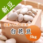 豆白花豆送料無料北海道産令和7年産5kg 業務用/【Buyee】