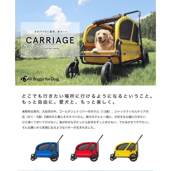 安心の国産製品 エアバギー 大型犬介護用カート - ペット用品