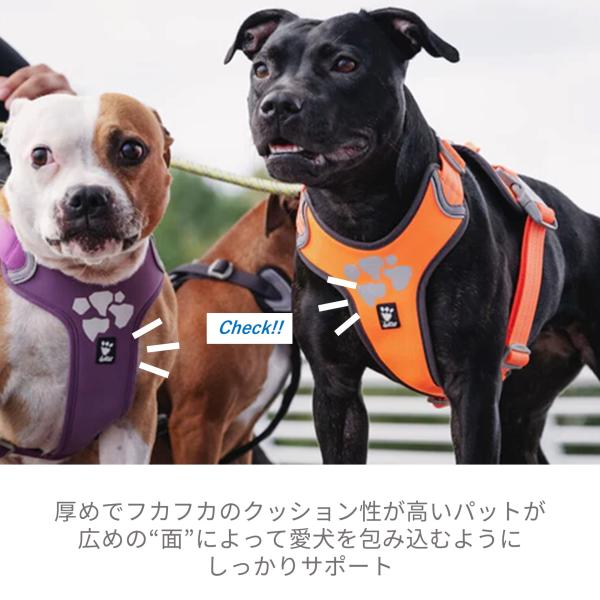 犬 クリアランス 首輪 フィンランド