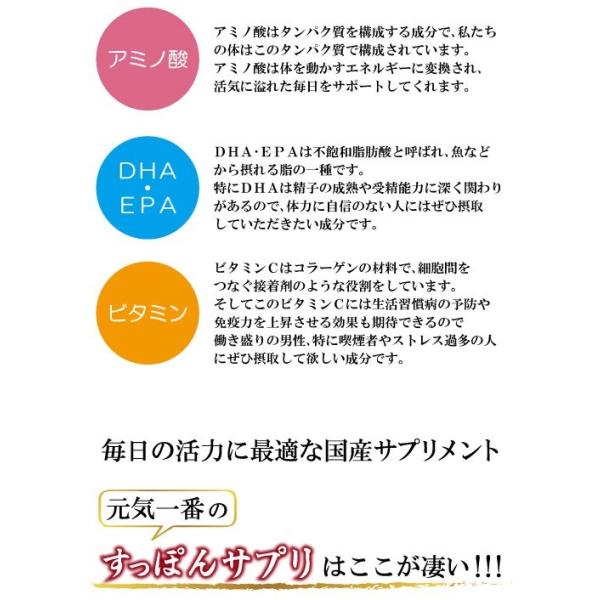 ゆうパケット 送料無料 元気一番オリジナルサプリ 国産すっぽんサプリ