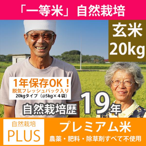 新米 令和4年 自然栽培米/ 無農薬 玄米 20キロ