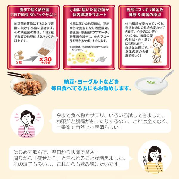 納豆菌 サプリ なっとう健美 60粒 納豆 ナットウキナーゼ
