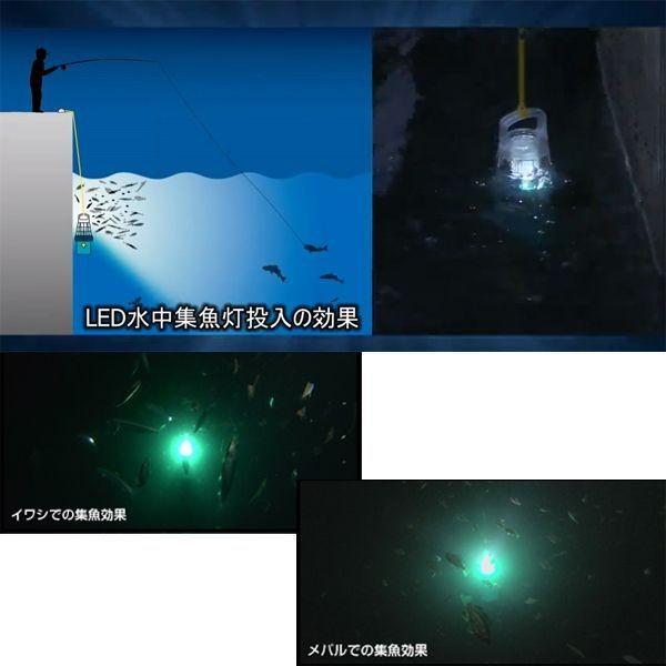 Hapyson（ハピソン）乾電池式LED 水中集魚灯ミニ 10ｍ防水/YF-510