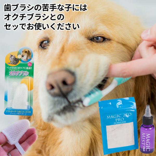 犬 歯石除去 マジックゼオプロ オクチブラシ KPS 犬 歯磨き ペースト