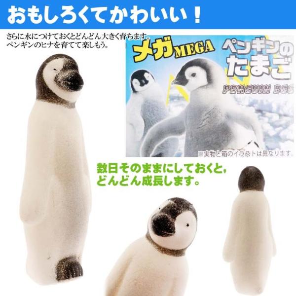 ペンギン ぷちまるアニマルズDX キングペンギン / Puchimaru Animals DX