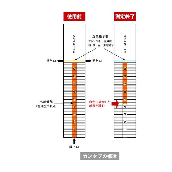 塩分量測定計 カンタブ [標準品] （3本入×12パック） 生コンクリート