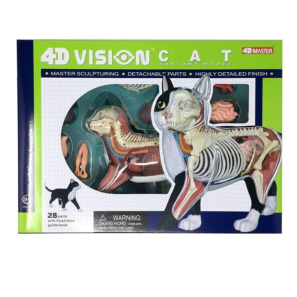 ネコ 動物 解剖 模型 猫 立体 モデル 4D 教材 模型 入学祝い /【Buyee