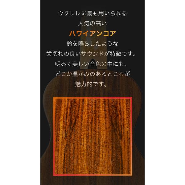 Aostinオースティン AC100 ウクレレ コンサートサイズ ハワイアンコア 