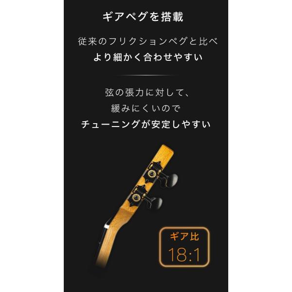 アエラミュージック発 オースティンウクレレAC100