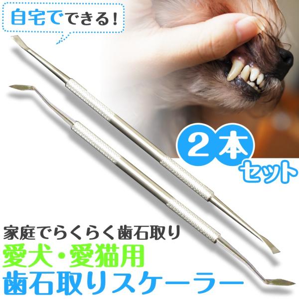 ペット用 スケーラー2個セット 歯石 歯石取り 犬 猫 ネコ 歯磨き