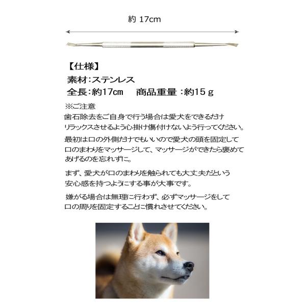 犬用スケーラー 歯石除去 歯石取り 器具 ペット 歯磨き 犬(猫) わん