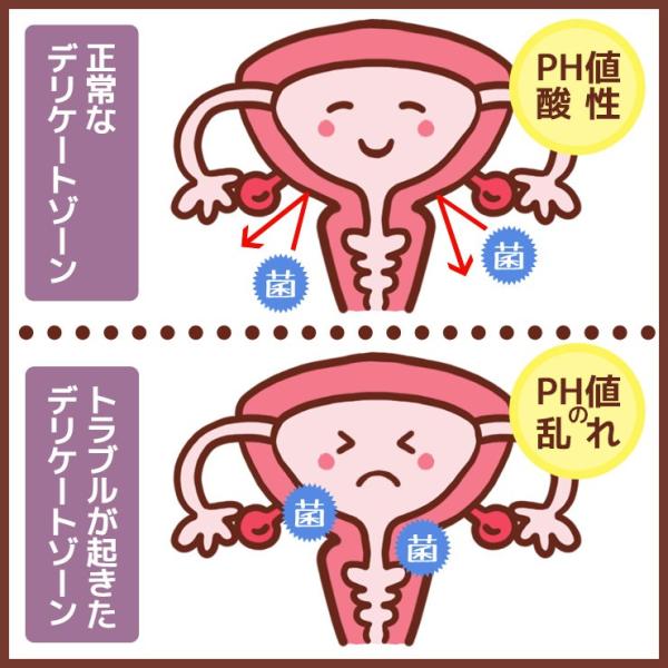 ギノフィット 乳酸ジェル 5ml x 6本入り ( 膣内洗浄 ビデ デリケートゾーン トラブル 膣洗浄 おりもの 膣 洗浄 使い捨てビデ )  /【Buyee】