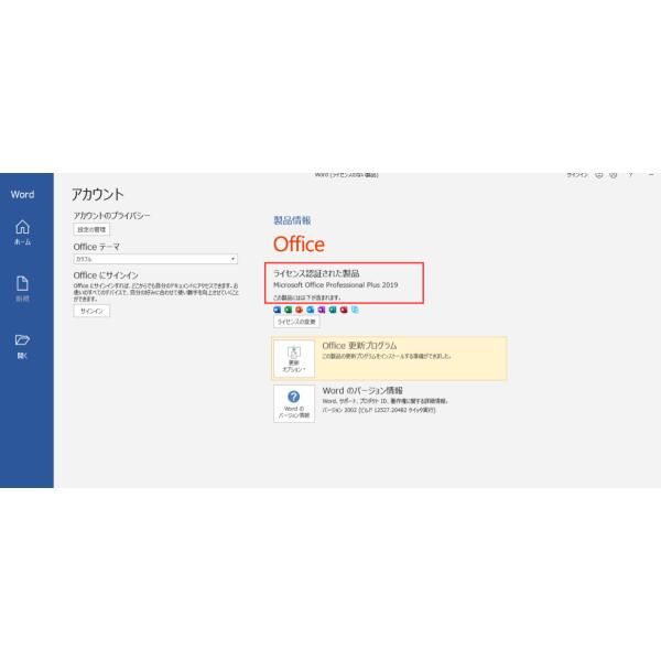 Microsoft Office 2019 Professional Plus 安心安全公式サイトからの ...