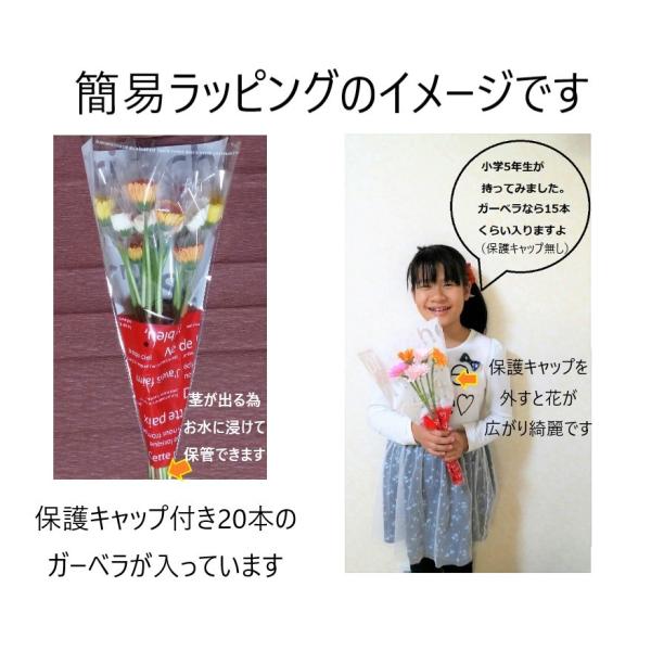 産地直送 ガーベラ1本75円 お好きな本数を花束に【母の日・誕生日
