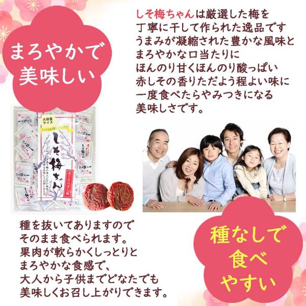 梅ちゃん専用商品 ジェックス 犬猫兼用 ピュアクリスタル セラモ 1.8L ブルー