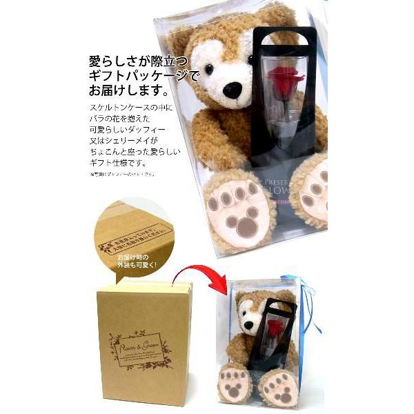 ダッフィー　ブリザードフラワー プリザーブドフラワー付きギフトグッズ！東京ディズニーシー