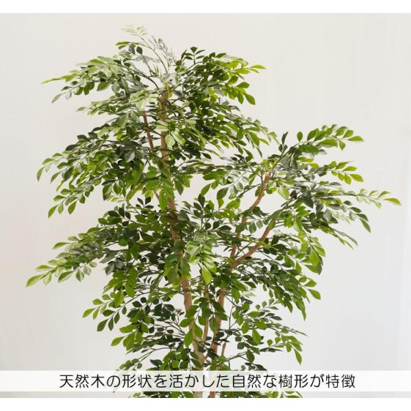 シマトネリコの木2本株立装飾付180cm ( フェイクグリーン造花