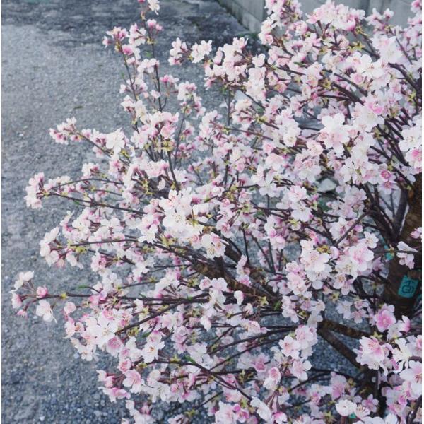 桜 の木 DX 125cm (フェイクグリーン リアル 店舗 ミニ 人工観葉