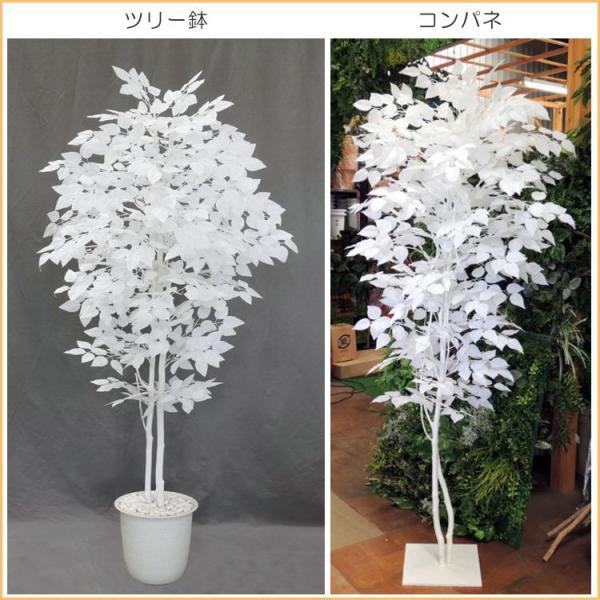 大型カイズカ　木製　花台　オブジェ　ナチュラル 大型カイズカ 木製 花台 オブジェ ナチュラル