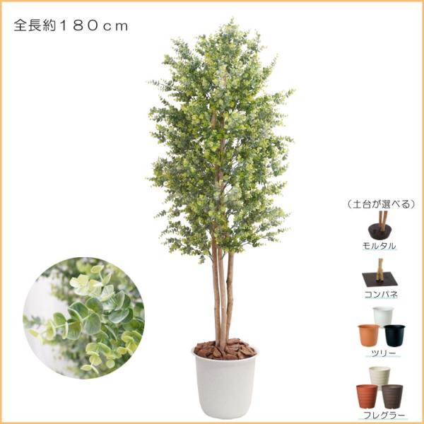 ユーカリの木 180cm (造花 インテリア 観葉植物 1.8m eucalyptus