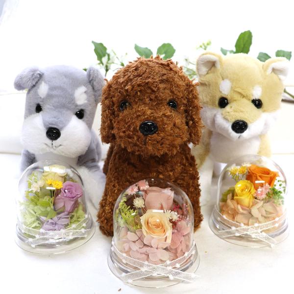 プリザーブドフラワードーム テディベア☆ 2Set ♬ 母の日 犬 ギフト プリザーブドフラワー ドーム 誕生日 花 誕生日