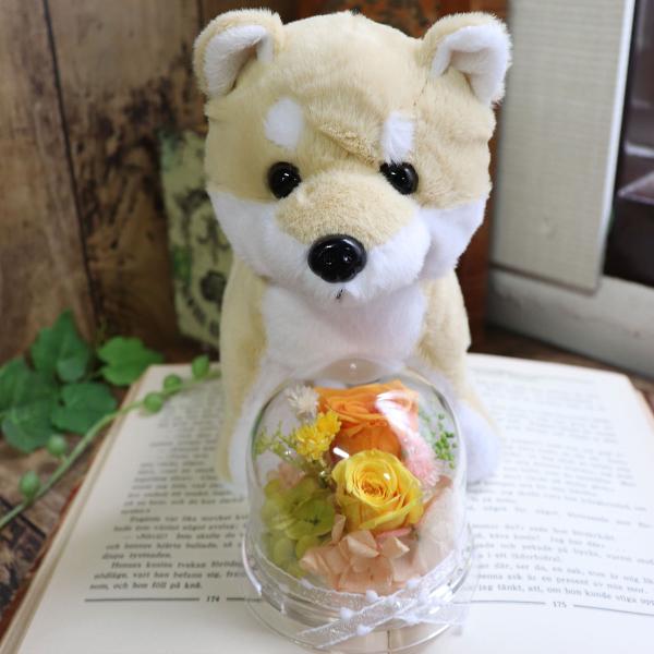 誕生日 母 犬 プリザーブドフラワー ドーム トイプードル 誕生日
