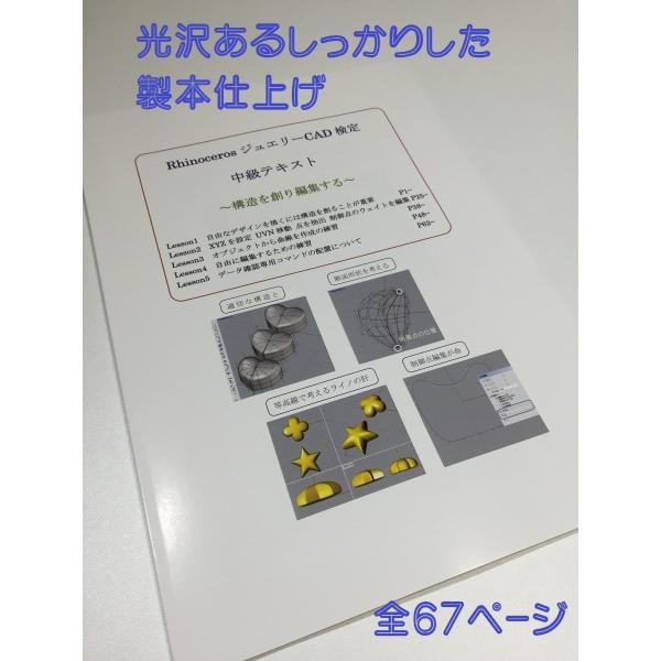 Windows版 RhinocerosV5ジュエリーCAD検定 中級テキスト 〜構造を創り