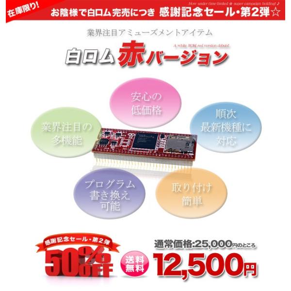 パチスロ 鉄拳2nd 実機 オプション 白ロム赤バージョン アミューズ 