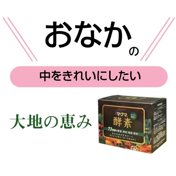 マグマ酵素 3g×30スティック 1箱 水にさっと溶ける粉末酵素 (漢方