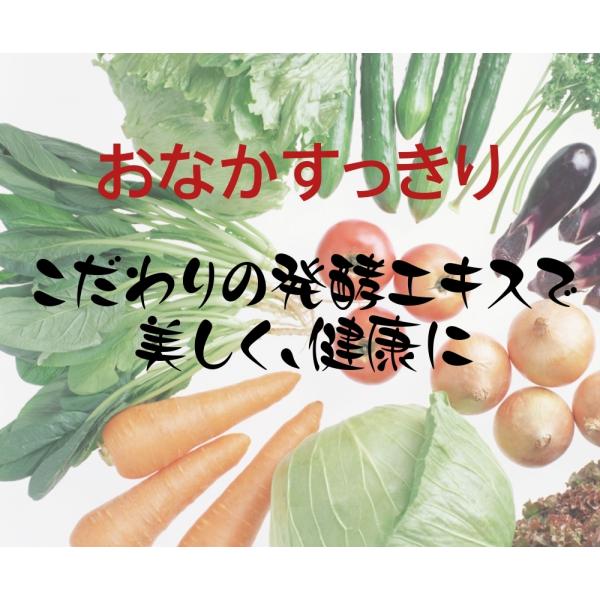 マグマ酵素 3g×30スティック 1箱 水にさっと溶ける粉末酵素 (漢方