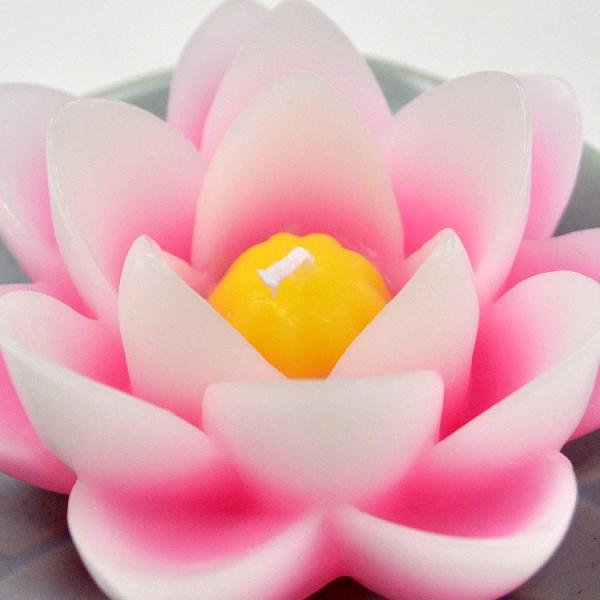 ⭐︎お盆特価⭐︎【極美品〜美品】鑑定⭕️？ヤマドラン ウルシク 初期 造花 仏花 シキミ 樒 しきび 超特大 約85cm 一本 しきみ シルク