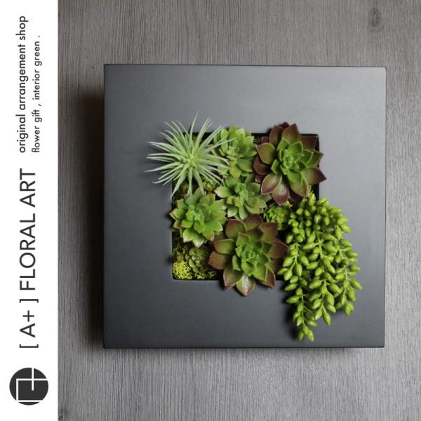 多肉の壁掛けインテリア 【公式通販】