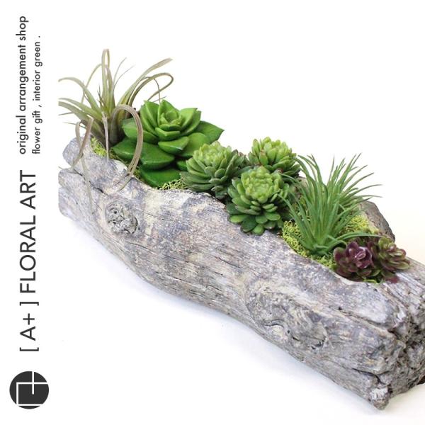 インテリアグリーン ボタニカル流木アレンジ Woody（ウッディー） S