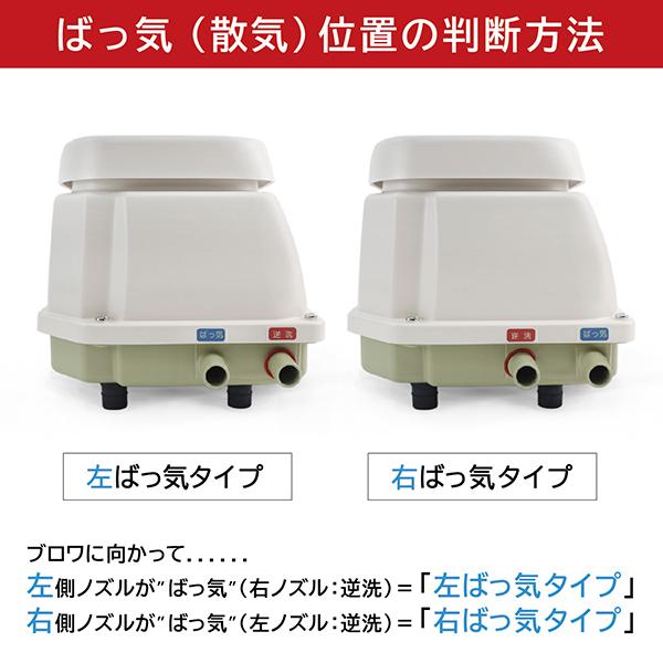 浄化槽ブロワー タイマー 逆洗 エアーポンプ エアポンプ 浄化槽