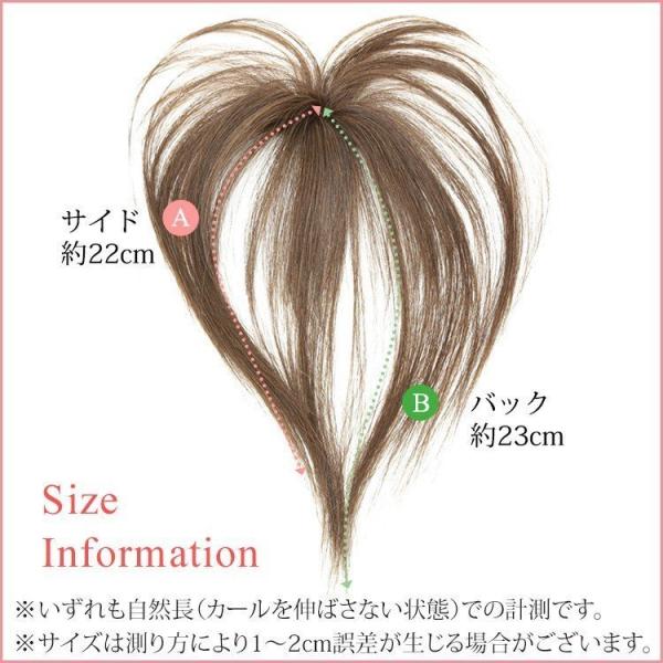 部分ウィッグ 頭頂部ウィッグ 人毛 100％ 女性 頭頂部 ウィッグ
