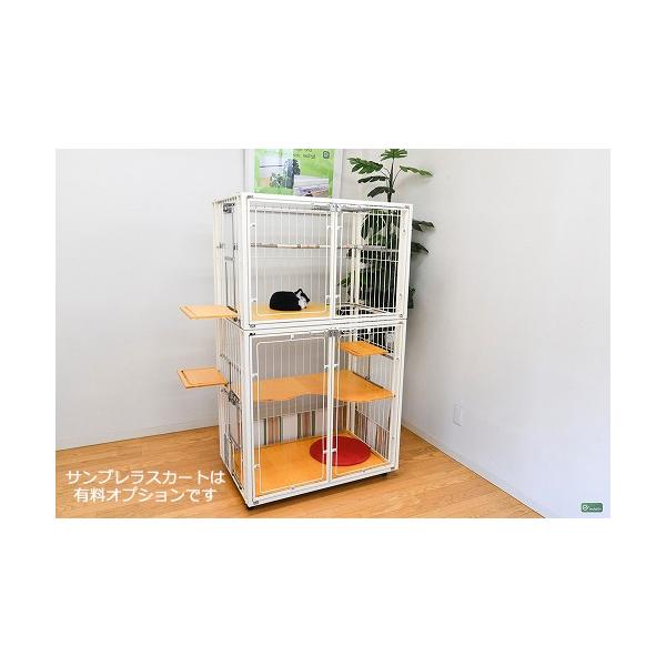 イーキャットストア Amazon.co.jp: Ycozy ペットドア 外寸19.7 x 19cm 猫 出入り口